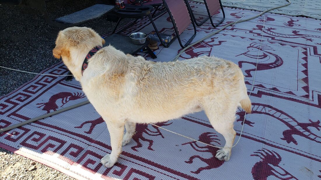 General got another bath in Bouse, Arizona