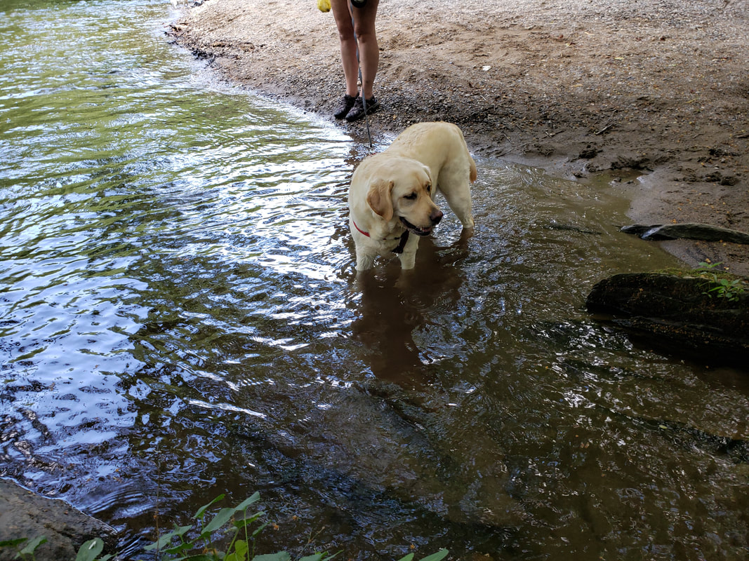 General's favorite water spot at the Mountain Farm Museum in Cherokee NC