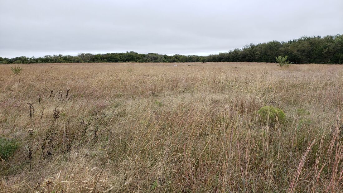 Looking for Santa Fe Trail river crossing in Council Grove, Kansas