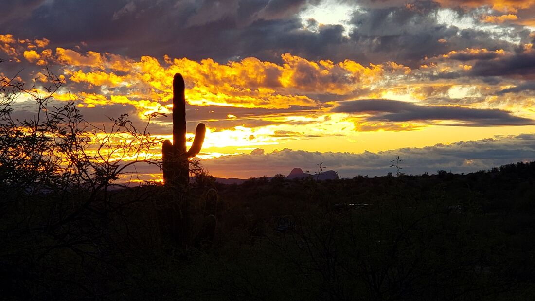 Beautiful sunset at Catalina State Park in Tucson, Arizona