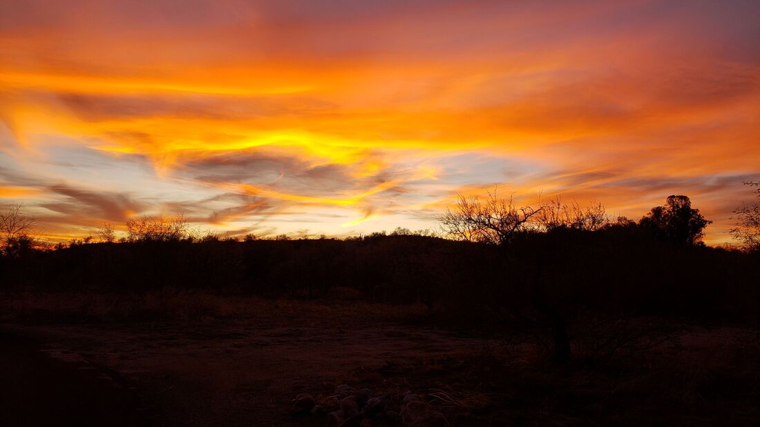 Beautiful desert sunset at Catalina State Park in Tucson, Arizona