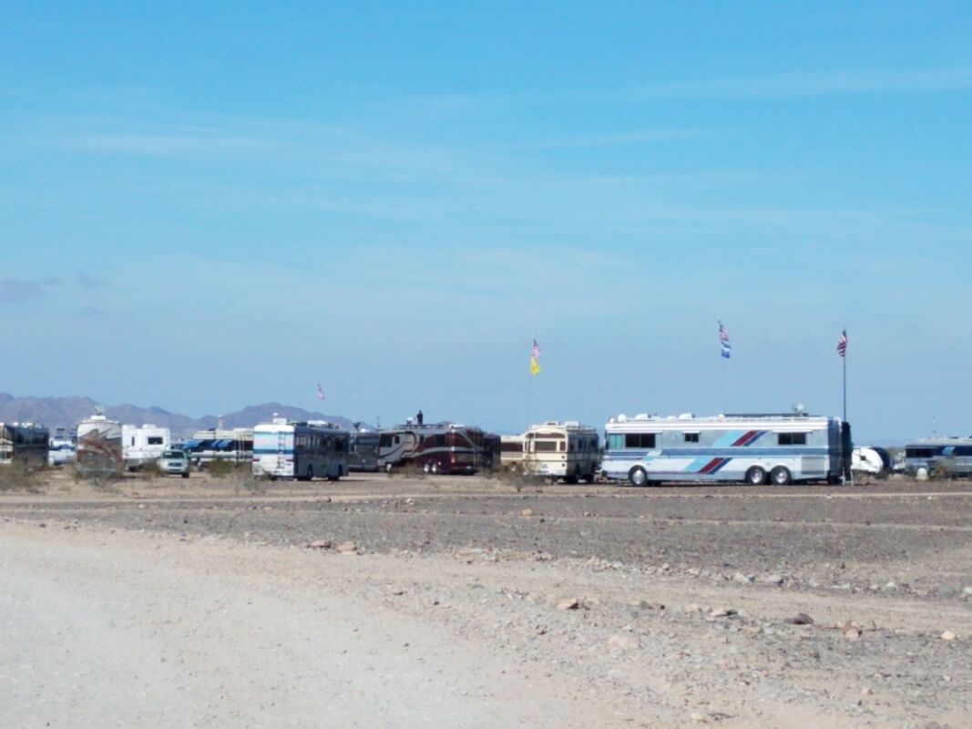 Bluebird Bus gathering at La Posa South in Quartzsite, Arizona