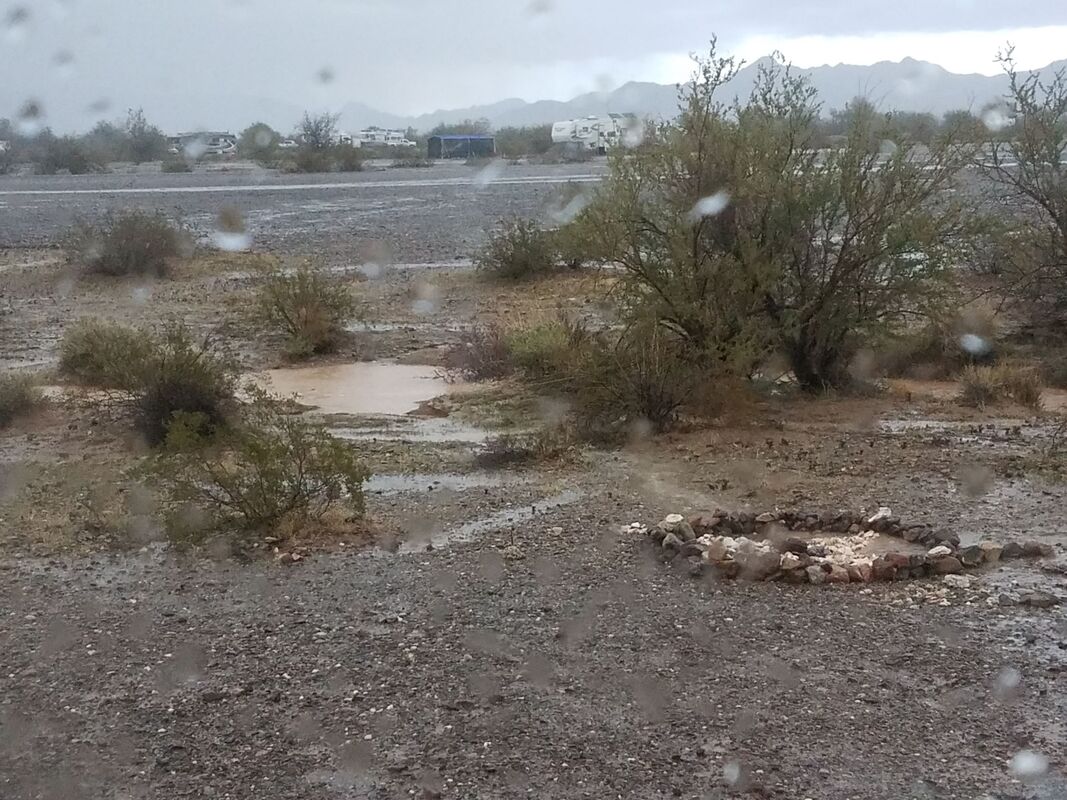 The wash is filling up near our campsite in Quartzsite, Arizona